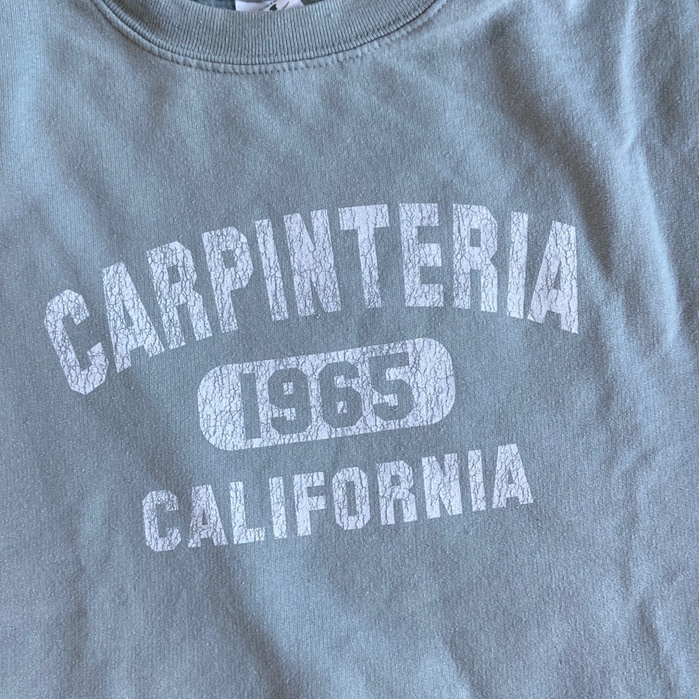 Carpinteria Beach California crewneck sweatshirt Women’s size Small, light green